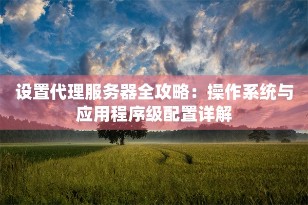 设置代理服务器全攻略：操作系统与应用程序级配置详解