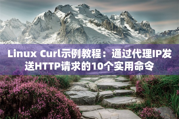 Linux Curl示例教程：通过代理IP发送HTTP请求的10个实用命令