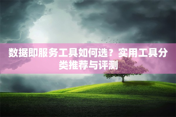 数据即服务工具如何选？实用工具分类推荐与评测