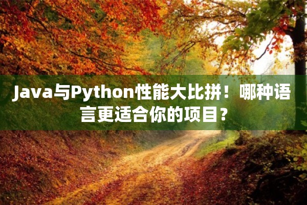 Java与Python性能大比拼！哪种语言更适合你的项目？