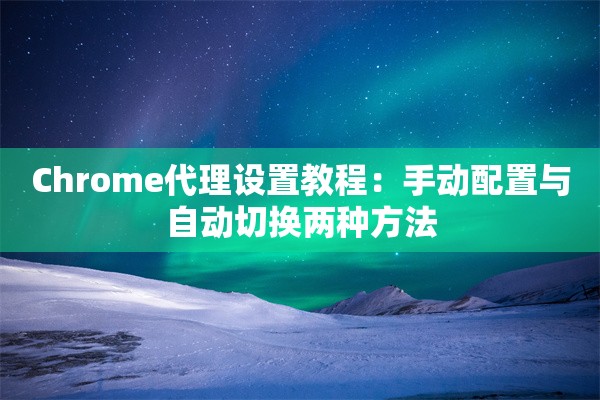 Chrome代理设置教程：手动配置与自动切换两种方法