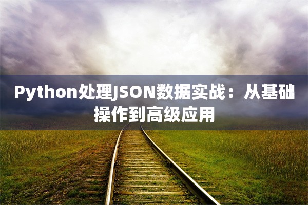 Python处理JSON数据实战：从基础操作到高级应用