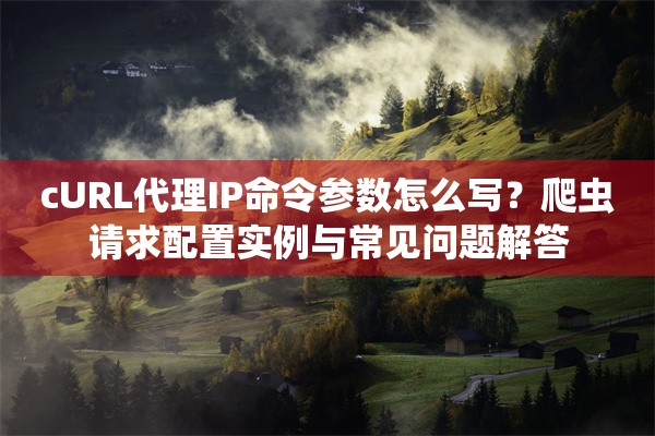 cURL代理IP命令参数怎么写？爬虫请求配置实例与常见问题解答