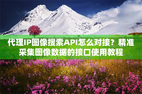 代理IP图像搜索API怎么对接？精准采集图像数据的接口使用教程