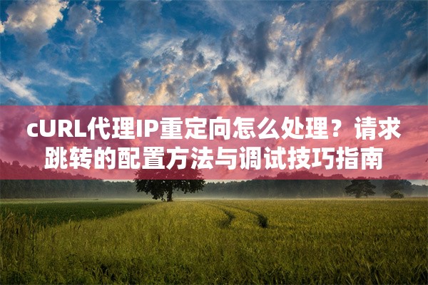cURL代理IP重定向怎么处理?请求跳转的配置方法与调试技巧指南