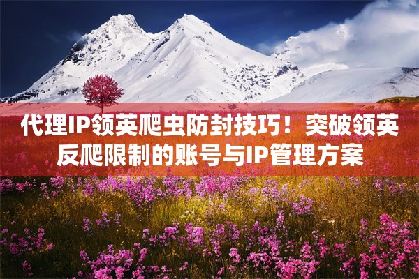 代理IP领英爬虫防封技巧!突破领英反爬限制的账号与IP管理方案