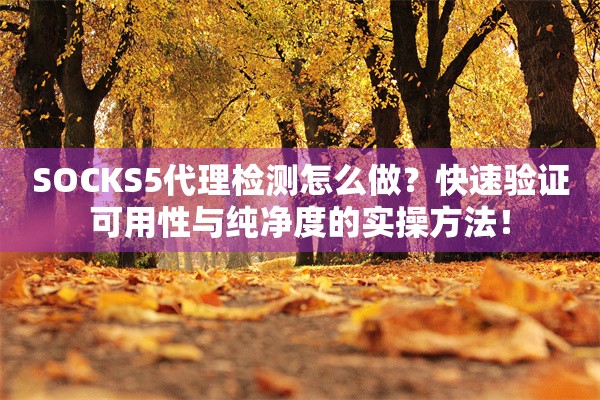 SOCKS5代理检测怎么做？快速验证可用性与纯净度的实操方法！