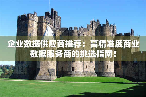 企业数据供应商推荐：高精准度商业数据服务商的挑选指南！