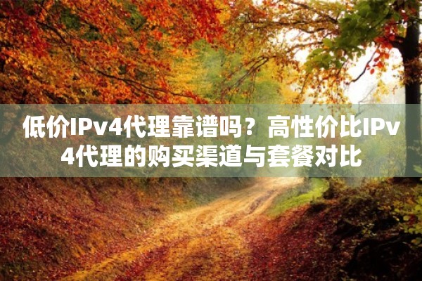 低价IPv4代理靠谱吗？高性价比IPv4代理的购买渠道与套餐对比