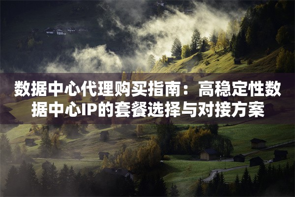 数据中心代理购买指南：高稳定性数据中心IP的套餐选择与对接方案