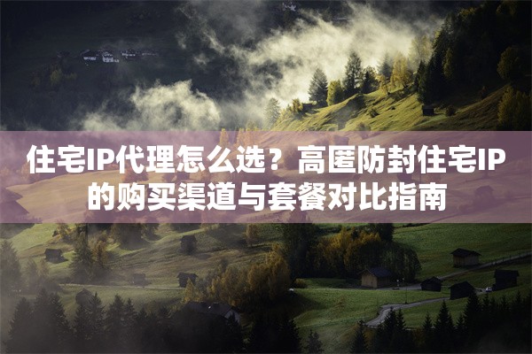 住宅IP代理怎么选？高匿防封住宅IP的购买渠道与套餐对比指南