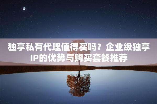 独享私有代理值得买吗?企业级独享IP的优势与购买套餐推荐
