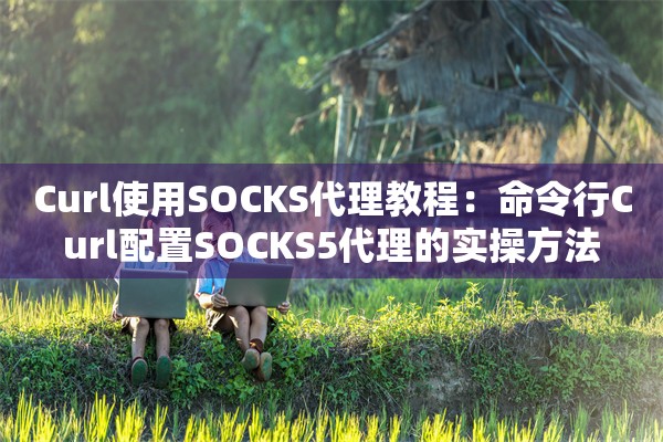 Curl使用SOCKS代理教程：命令行Curl配置SOCKS5代理的实操方法