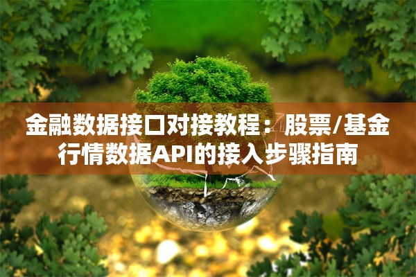 金融数据接口对接教程：股票/基金行情数据API的接入步骤指南