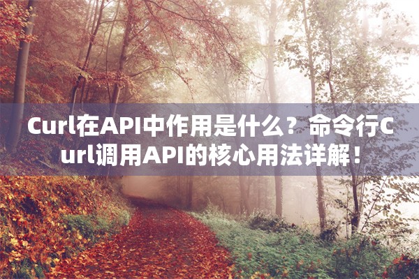 Curl在API中作用是什么?命令行Curl调用API的核心用法详解!