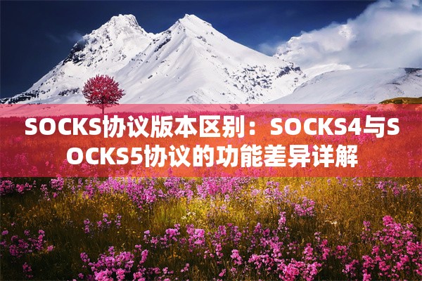 SOCKS协议版本区别:SOCKS4与SOCKS5协议的功能差异详解