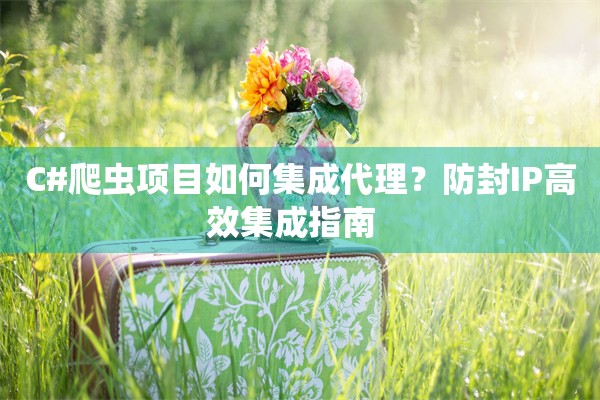 C#爬虫项目如何集成代理？防封IP高效集成指南  