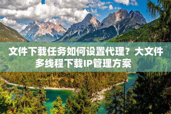 文件下载任务如何设置代理？大文件多线程下载IP管理方案  