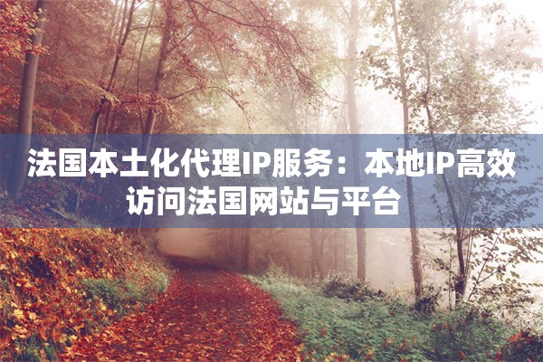 法国本土化代理IP服务：本地IP高效访问法国网站与平台  