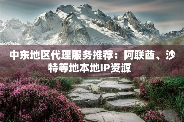 中东地区代理服务推荐：阿联酋、沙特等地本地IP资源  