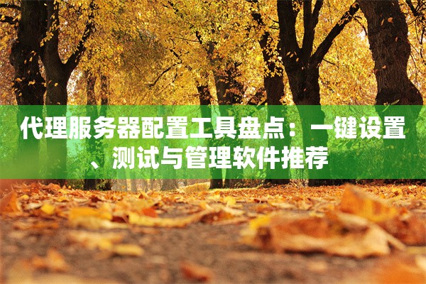 代理服务器配置工具盘点：一键设置、测试与管理软件推荐  