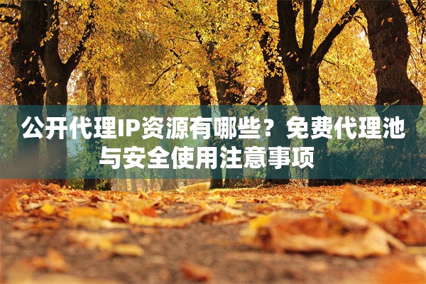 公开代理IP资源有哪些？免费代理池与安全使用注意事项  