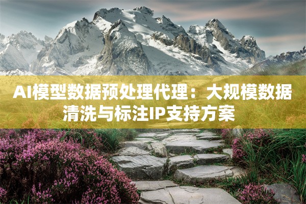 AI模型数据预处理代理：大规模数据清洗与标注IP支持方案  