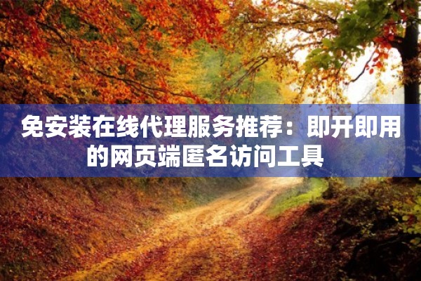 免安装在线代理服务推荐：即开即用的网页端匿名访问工具  