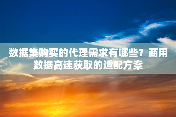数据集购买的代理需求有哪些？商用数据高速获取的适配方案