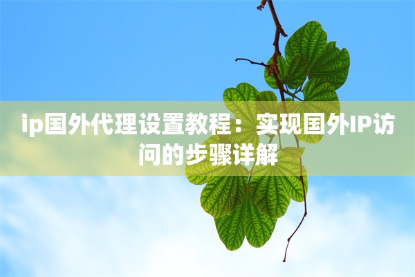 ip国外代理设置教程：实现国外IP访问的步骤详解