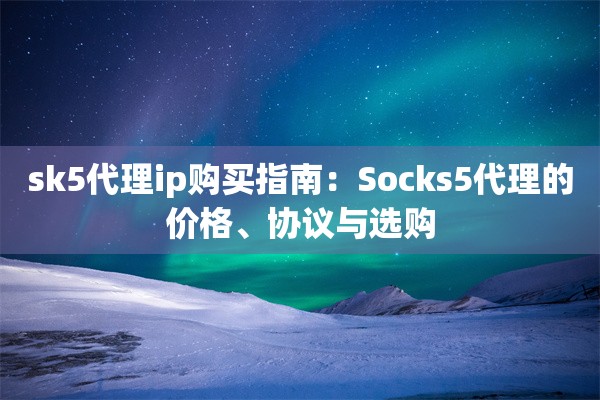 sk5代理ip购买指南：Socks5代理的价格、协议与选购