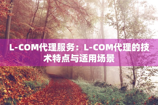 L-COM代理服务：L-COM代理的技术特点与适用场景