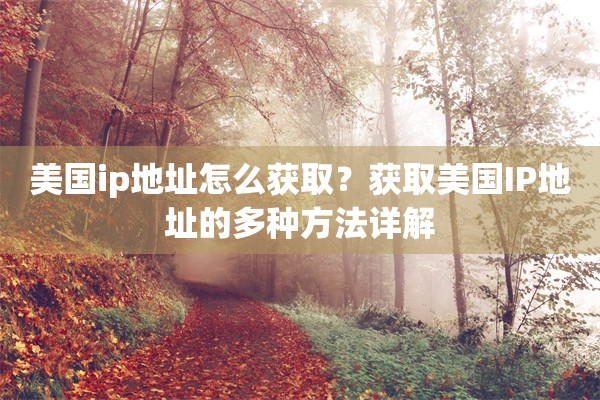 美国ip地址怎么获取？获取美国IP地址的多种方法详解