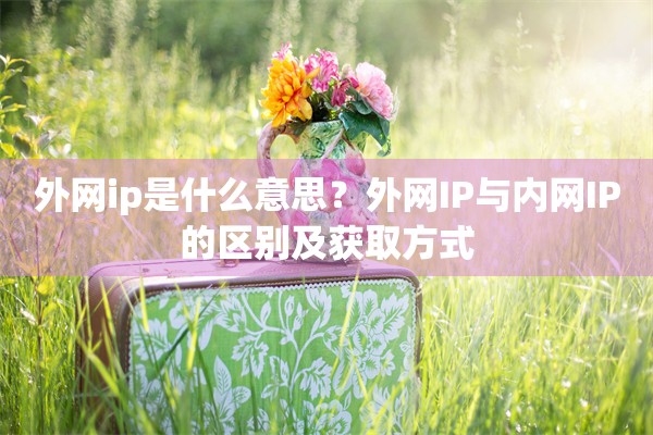 外网ip是什么意思？外网IP与内网IP的区别及获取方式