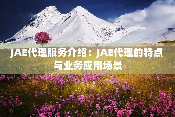 JAE代理服务介绍：JAE代理的特点与业务应用场景