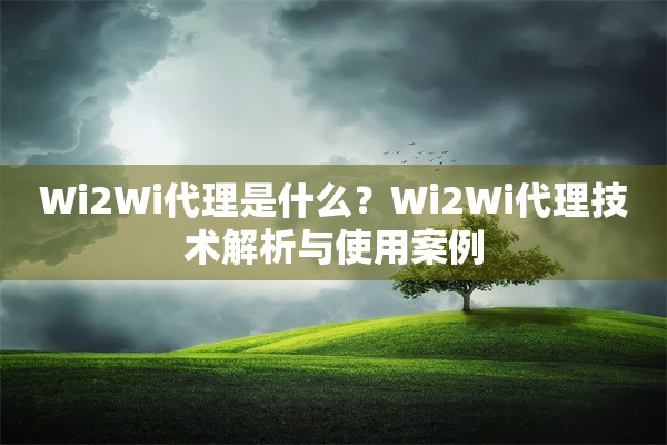Wi2Wi代理是什么？Wi2Wi代理技术解析与使用案例