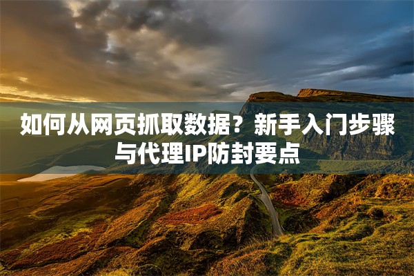 如何从网页抓取数据？新手入门步骤与代理IP防封要点