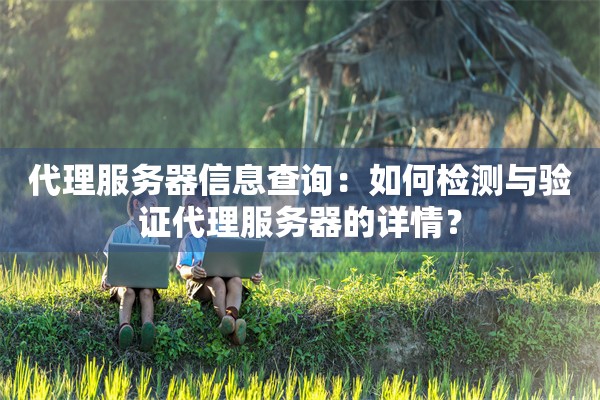 代理服务器信息查询：如何检测与验证代理服务器的详情？