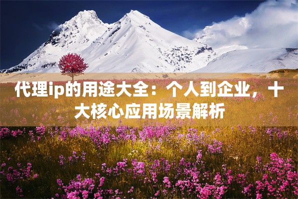 代理ip的用途大全:个人到企业,十大核心应用场景解析