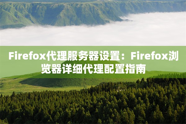 Firefox代理服务器设置:Firefox浏览器详细代理配置指南