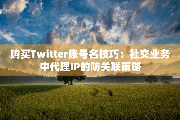 购买Twitter账号名技巧:社交业务中代理IP的防关联策略