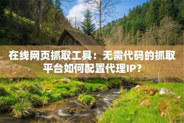 在线网页抓取工具:无需代码的抓取平台如何配置代理IP?