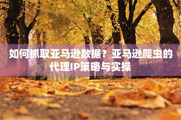 如何抓取亚马逊数据?亚马逊爬虫的代理IP策略与实操