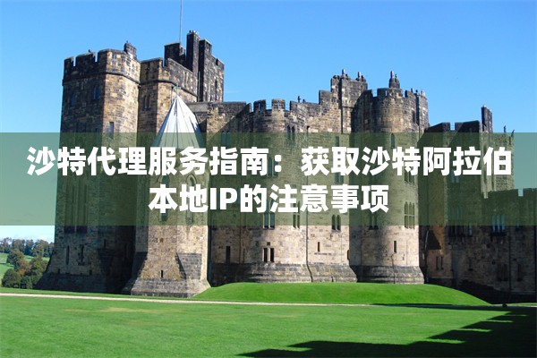沙特代理服务指南:获取沙特阿拉伯本地IP的注意事项