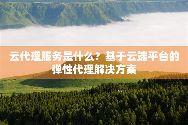 云代理服务是什么?基于云端平台的弹性代理解决方案
