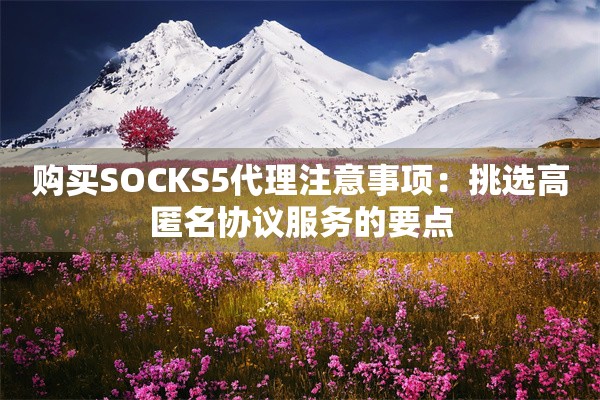 购买SOCKS5代理注意事项:挑选高匿名协议服务的要点