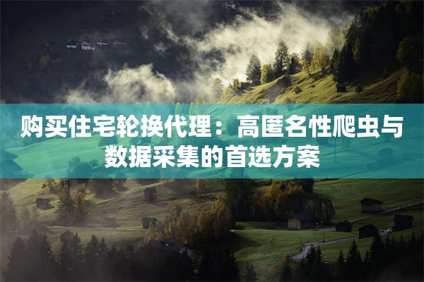 购买住宅轮换代理：高匿名性爬虫与数据采集的首选方案