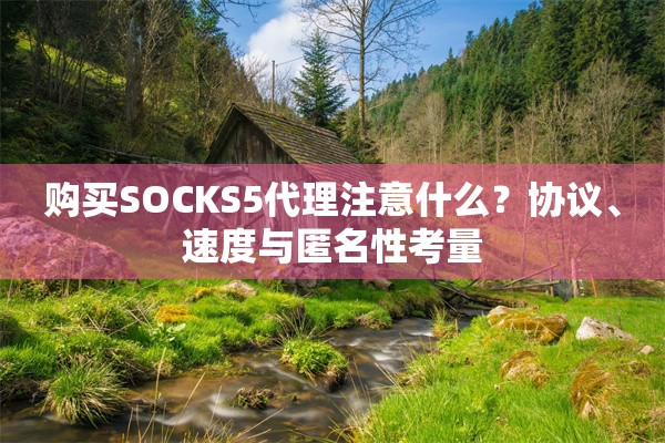 购买SOCKS5代理注意什么？协议、速度与匿名性考量
