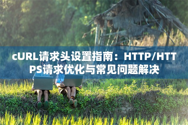 cURL请求头设置指南：HTTP/HTTPS请求优化与常见问题解决