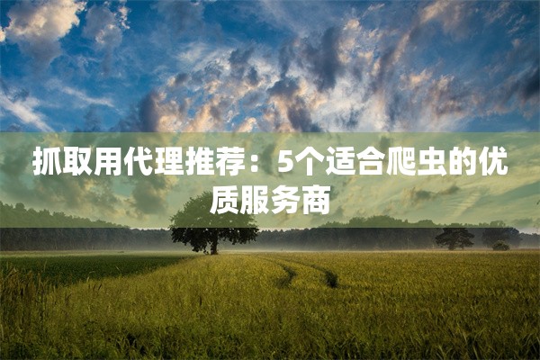 抓取用代理推荐：5个适合爬虫的优质服务商
